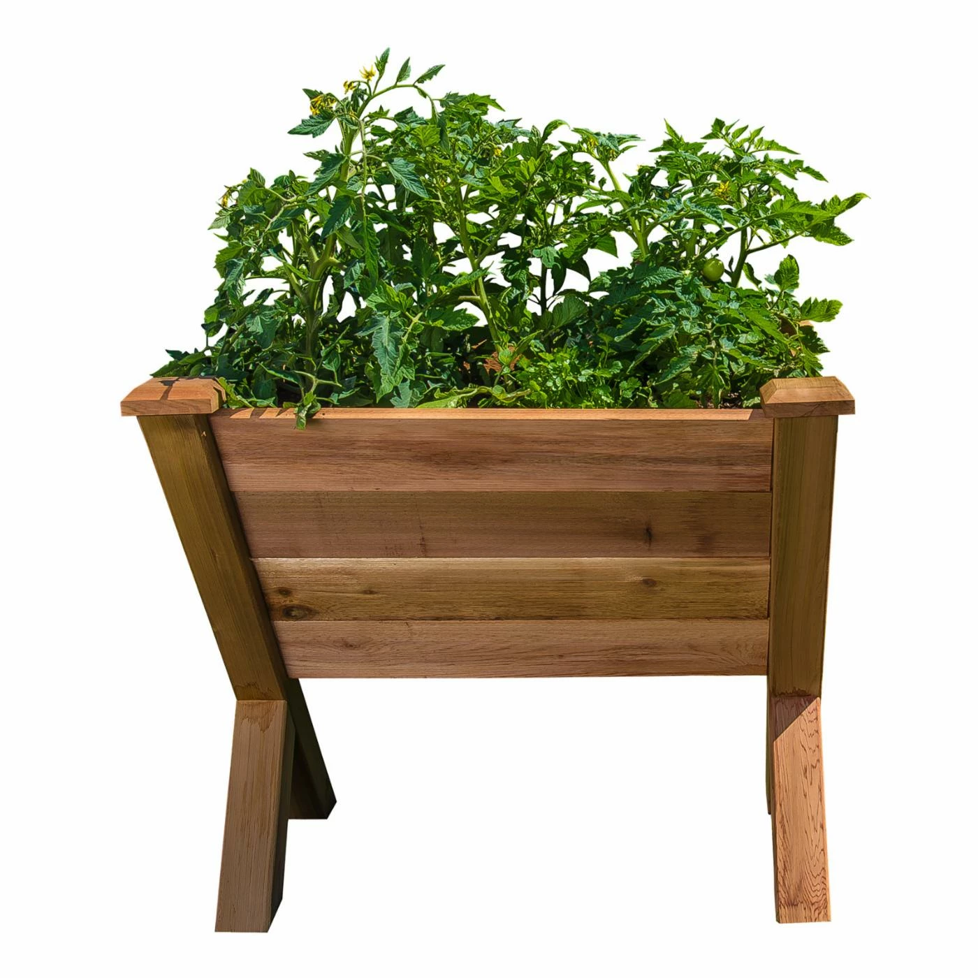 Hot Sale โญ Raised Planter Boxes Gronomics ECO Garden Wedge ๐ฏ 5 Hot Sale โญ Raised Planter Boxes Gronomics ECO Garden Wedge ๐ฏ - Image 3