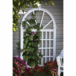 Promo โญ New England Arbors Vita 7 Ft. White Vinyl Vienna Arch Trellis ๐ 10 Promo โญ New England Arbors Vita 7 Ft. White Vinyl Vienna Arch Trellis ๐ -Raised Garden Beds Sales detail2NEA094