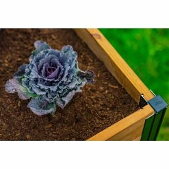 Flash Sale 💯 Raised Garden Beds Vita Mezza Cedar Cube Keyhole Raised Garden Bed ✨ -Raised Garden Beds Sales detail2NEA192