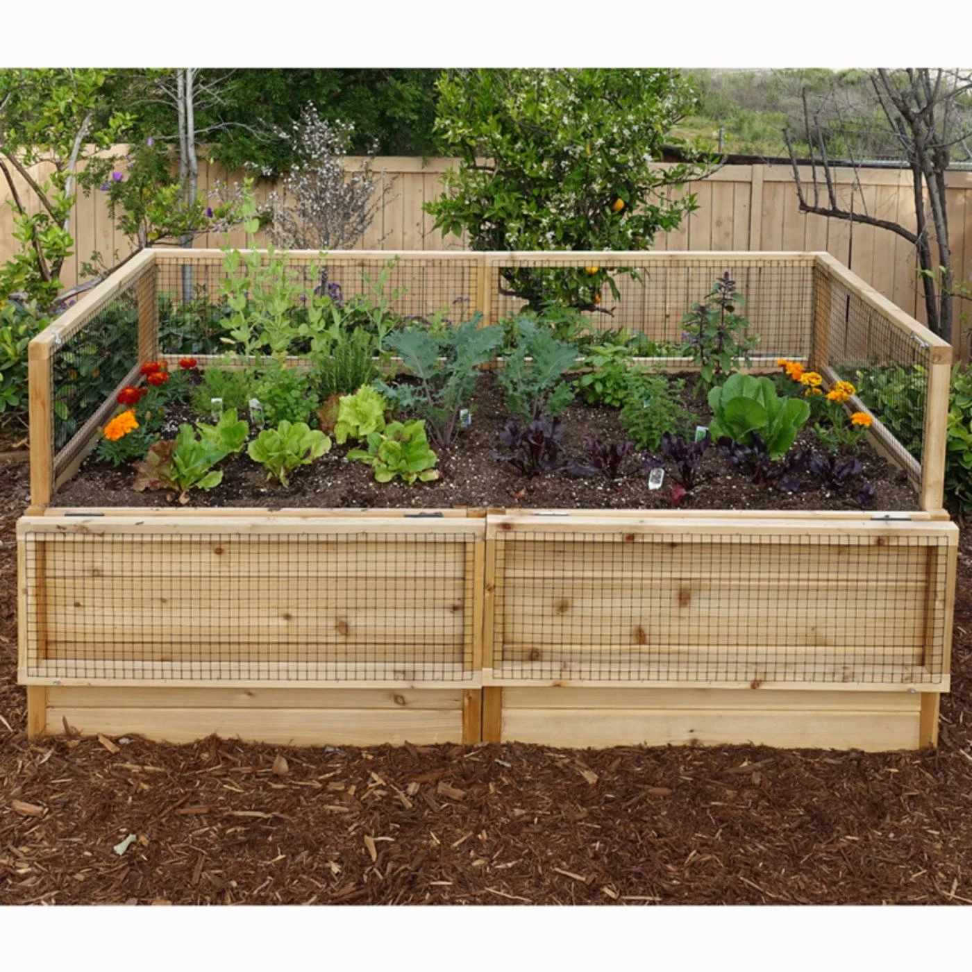 Promo ๐ Raised Garden Beds Outdoor Living Today Raised Cedar Garden Bed - 6 X 3 Ft. ๐ฅฐ 6 Promo ๐ Raised Garden Beds Outdoor Living Today Raised Cedar Garden Bed - 6 X 3 Ft. ๐ฅฐ - Image 4