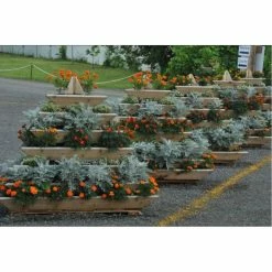 Outlet ✨ Container Gardens Infinite Cedar Plant Pyramid 7 Level Cedar Planter 🔥 -Raised Garden Beds Sales detail3TEI029