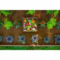 Buy 😉 Raised Garden Beds Vita Urbana Vinyl Rectangle Keyhole Raised Garden Bed 🧨 -Raised Garden Beds Sales detail4NEA190