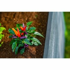 Buy 😉 Raised Garden Beds Vita Urbana Vinyl Rectangle Keyhole Raised Garden Bed 🧨 -Raised Garden Beds Sales detail7NEA190