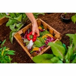 Flash Sale 💯 Raised Garden Beds Vita Mezza Cedar Cube Keyhole Raised Garden Bed ✨ -Raised Garden Beds Sales detailNEA192