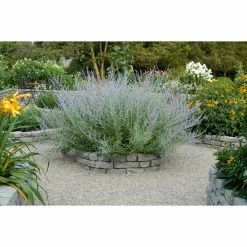 Cheap 🛒 RTS Companies Raised Garden Beds RTS Home Accents Curved Rock Lock Residential Landscaping - Set Of 2 👍 -Raised Garden Beds Sales detailRTS092