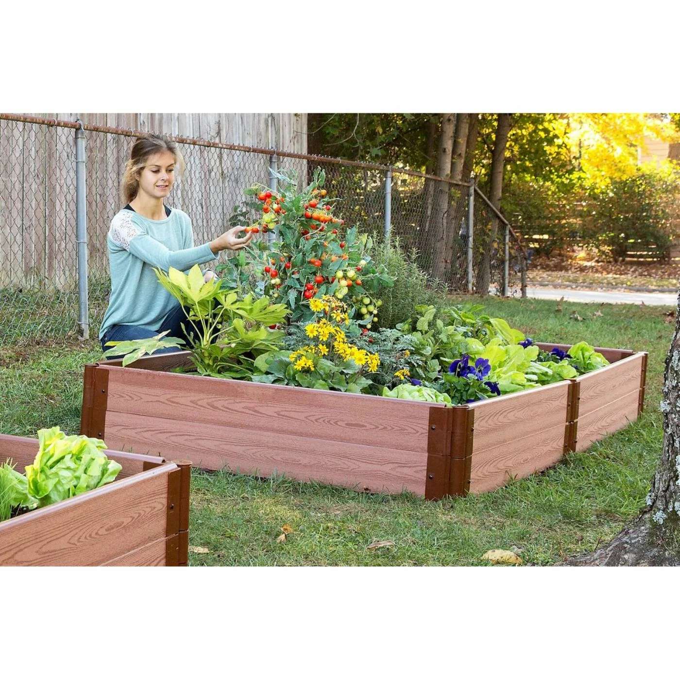 Outlet ๐คฉ Raised Garden Beds Frame It All 1-inch Series Composite Raised Garden Bed Kit - 4ft. X 8ft. X 11in. โญ 3 Outlet ๐คฉ Raised Garden Beds Frame It All 1-inch Series Composite Raised Garden Bed Kit - 4ft. X 8ft. X 11in. โญ