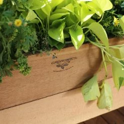 Raised Garden Beds Sales -Raised Garden Beds Sales inuseGRON001