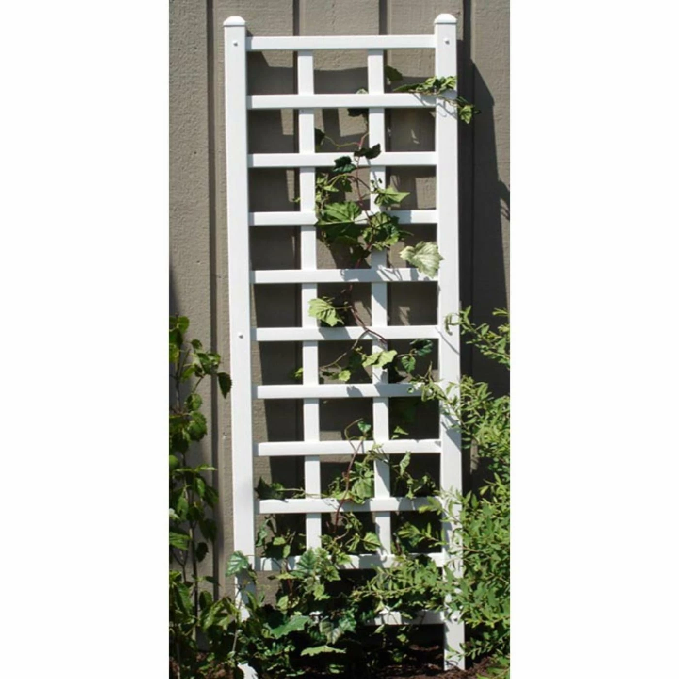 Brand new ๐ Dura-Trel Providence 6.25-ft. Vinyl Wall Trellis - White โญ 3 Brand new ๐ Dura-Trel Providence 6.25-ft. Vinyl Wall Trellis - White โญ