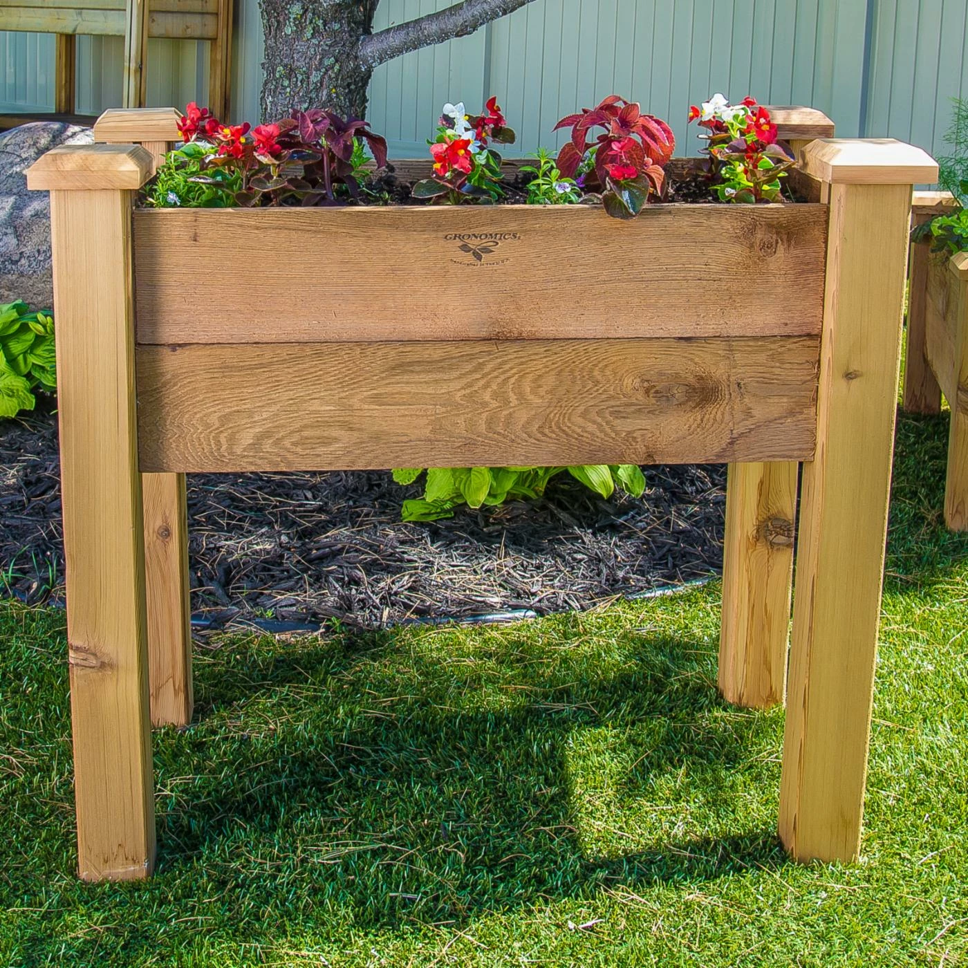 Cheap 🔔 Raised Planter Boxes Gronomics Rustic Cedar Raised Garden Bed ❤️ 3 Cheap 🔔 Raised Planter Boxes Gronomics Rustic Cedar Raised Garden Bed ❤️
