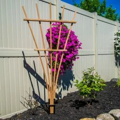 Cheap 🧨 Wood Gronomics Expandable Fan Trellis Kit - 38W X 72H In. 😉